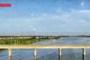 [Video] Nghiên cứu phương án làm đường sắt Bến Thành - Cần Giờ đi ngầm qua khu Nhà Rồng - Khánh Hội