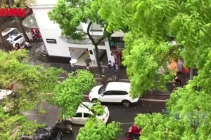 [Video] Từ đêm 2/3, không khí lạnh gây mưa, rét ở Bắc Bộ và Trung Bộ