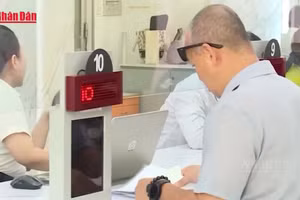 [Video] Từ ngày 1/4, triển khai điều tra cơ sở hành chính, sự nghiệp trên toàn quốc