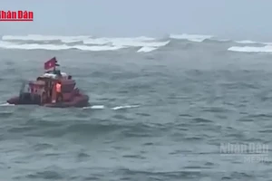 [Video] Chìm thuyền đánh cá ở Quảng Trị, 1 ngư dân mất tích