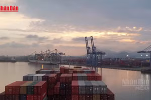 [Video] Giảm tối thiểu 10% giá dịch vụ hoa tiêu hàng hải cho tàu biển Việt Nam