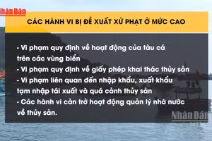 [Video] Đề xuất phạt 1 tỷ đồng với nhiều hành vi vi phạm trong lĩnh vực thủy sản