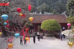 [Video] Phú Thọ: Lễ cầu Quốc thái dân an tại chùa Thiên Quang