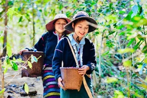 Khu vực kinh tế tư nhân có ưu thế trong huy động vốn chuyển đổi xanh, chủ động hơn trong sáng kiến về tái chế, sản xuất sạch hơn.(Ảnh: DUY ĐÔNG)