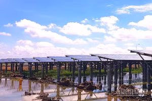 Tây Ninh bảo đảm nguồn cung năng lượng - một trong những điều kiện tiên quyết để duy trì tăng trưởng, nâng cao năng lực cạnh tranh và thu hút các dòng vốn đầu tư mới.