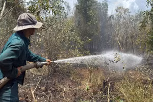 Lực lượng chức năng nỗ lực chữa cháy rừng tại khu vực Lâm trường Vĩnh Lợi.