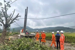 Các đơn vị trong EVNNPC đã nỗ lực khôi phục, cấp điện trở lại cho người dân vùng bị ảnh hưởng bão. (Ảnh: EVNNPC)