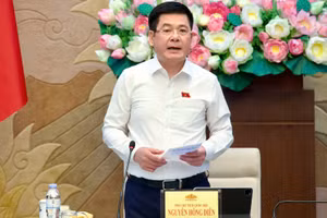Phó Chủ tịch Quốc hội Nguyễn Hồng Diên phát biểu tại cuộc làm việc. (Ảnh: Media Quốc hội)