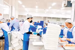 Chế biến tôm xuất khẩu của Công ty Tùng Loan, xã Vĩnh Phước (Cà Mau).