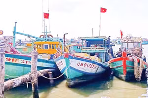 Đội tàu cá đánh bắt hải sản vùng ven biển thành phố Cần Thơ.
