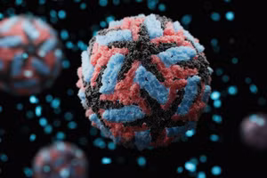 Virus Dengue gây bệnh sốt xuất huyết. (Ảnh: CDC Hoa Kỳ)