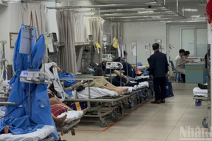 Khi bác sĩ “lười...chiến lược” trong kỷ nguyên số