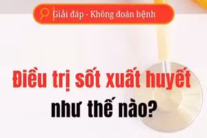 [Video] Điều trị sốt xuất huyết như thế nào?