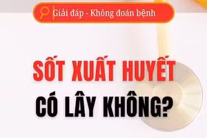 [Video] Sốt xuất huyết có lây từ người sang người?