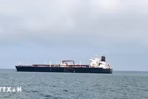 Tàu di chuyển qua eo biển Hormuz. (Ảnh: ANI/TTXVN)