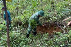 Vết nứt kéo dài vừa được lực lượng chức năng xã La Dêê phát hiện. (Ảnh: Địa phương cung cấp)