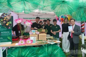 Sinh viên Đà Nẵng trải nghiệm không gian văn hóa Hàn Quốc được tổ chức ngày 19/12. (Ảnh: ANH ĐÀO)