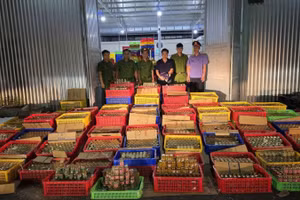 Đường dây sản xuất nước yến giả quy mô lớn bị Công an Đà Nẵng triệt xóa. (Ảnh: Công an cung cấp)