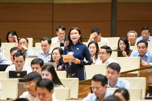Bà Nguyễn Phạm Duy Trang. 