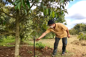 Mô hình tưới nước tiết kiệm ở xã Ea Hồ, huyện Krông Năng, tỉnh Đắk Lắk. Ảnh: Thư Anh