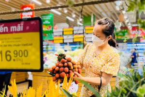 Khách hàng chọn mua đặc sản Hải Phòng là trái vải Thanh Hà. Năm nay Saigon Co.op đưa 300 tấn vải vào hệ thống siêu thị trên toàn quốc.