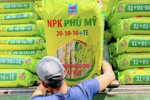 NPK Phú Mỹ với nhiều dòng công thức với dinh dưỡng đa dạng, phù hợp với từng thời kỳ sinh trưởng của cây mía