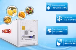 Thilogi đầu tư container lạnh số lượng lớn, vận chuyển đa dạng các mặt hàng nông sản, thủy sản, thực phẩm chế biến... Nhiệt độ được kiểm soát trong suốt hành trình.