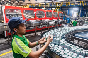 Kiểm tra lon bia tại Thành phố Hồ Chí Minh. (Ảnh: Thông Võ/Bloomberg Businessweek)