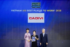 Danh hiệu " Nơi làm việc Tốt nhất Việt Nam" là minh chứng cho môi trường làm việc chuyên nghiệp tại Cadivi.