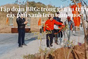 Tập đoàn BRG: trồng gần 1,1 triệu cây phủ xanh trên toàn quốc