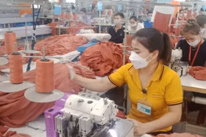 Tỉnh Thái Nguyên ban hành chính sách hỗ trợ không chỉ thúc đẩy doanh nghiệp thành lập mới mà còn góp phần phát triển kinh tế tư nhân, giải quyết nhiều việc làm cho người dân. 