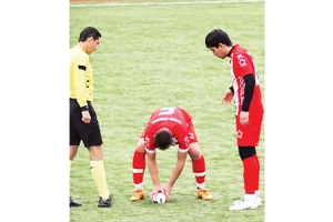 Gani Catan tập trung cao độ vào việc cứu sống chú mòng biển.