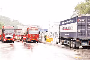 Các xe container chở hàng hóa nông sản thông quan tại Cửa khẩu quốc tế Hữu nghị (Lạng Sơn) ngày 5/2. (Ảnh MAI PHƯƠNG)