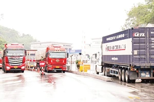Các xe container chở hàng hóa nông sản thông quan tại Cửa khẩu quốc tế Hữu nghị (Lạng Sơn) ngày 5/2. (Ảnh MAI PHƯƠNG)