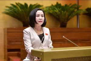 Phó Chủ tịch Quốc hội Nguyễn Thị Thanh.