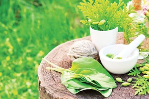 Ảnh: Hallmark Builders