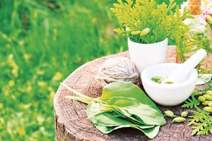 Ảnh: Hallmark Builders