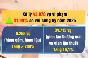 [Video] Khởi tố hơn 1.460 vụ buôn lậu, hàng giả trong 4 tháng đầu năm