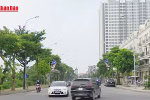 [Video] Hà Nội tổ chức lấy ý kiến việc sử dụng xe máy xăng, hoạt động kinh doanh, vận tải