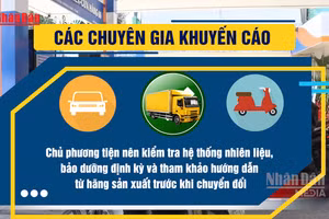 [Video] Người dùng cần lưu ý trước khi chuyển sang sử dụng xăng E10