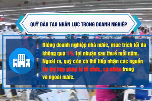 [Video] Đề xuất thành lập Quỹ đào tạo nhân lực trong doanh nghiệp