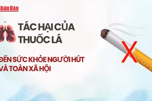 [Video] Tác hại của thuốc lá đến sức khỏe người hút và toàn xã hội