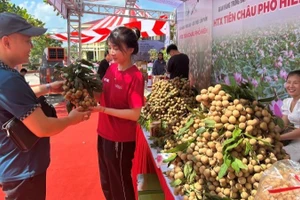  Sản phẩm OCOP nhãn Hưng Yên.