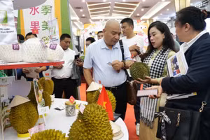 Theo đánh giá của giới phân tích, sầu riêng Việt Nam có khả năng sẽ bắt kịp Thái Lan trong cuộc đua vào thị trường Trung Quốc. Ảnh: Quân Hưng