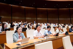 Các đại biểu Quốc hội tham dự phiên họp toàn thể trên hội trường ngày 11/8, góp ý cho dự thảo Luật Phát triển đô thị. Ảnh: Quốc Khánh