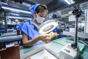 Công ty TNHH Sankoh Việt Nam có 100% vốn đầu tư Nhật Bản, chuyên sản xuất, gia công dây điện và linh kiện điện. Ảnh trong bài | Thành Đạt