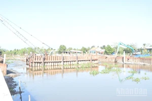 Đồng Tháp triển khai nhanh các cống ngăn mặn dọc theo sông Tiền.