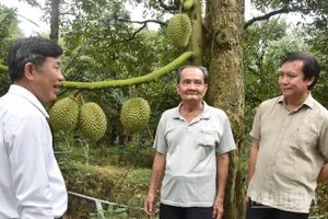 Đồng chí Lê Hà Luân (bên phải) trao đổi với nông dân xã Long Tiên, tỉnh Đồng Tháp về hướng phát triển cây sầu riêng.
