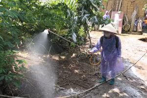 Tuyên Quang chỉ đạo các địa phương tăng cường phòng, chống bệnh dịch tả lợn châu Phi.