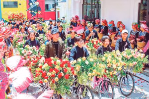 Lễ hội Hoa Fansipan hứa hẹn mang đến cho du khách những trải nghiệm thú vị. (Ảnh: CÔNG HẢI)